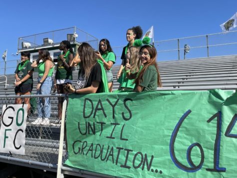 Juniors dressed in green watch from the bleachers during the pep rally.