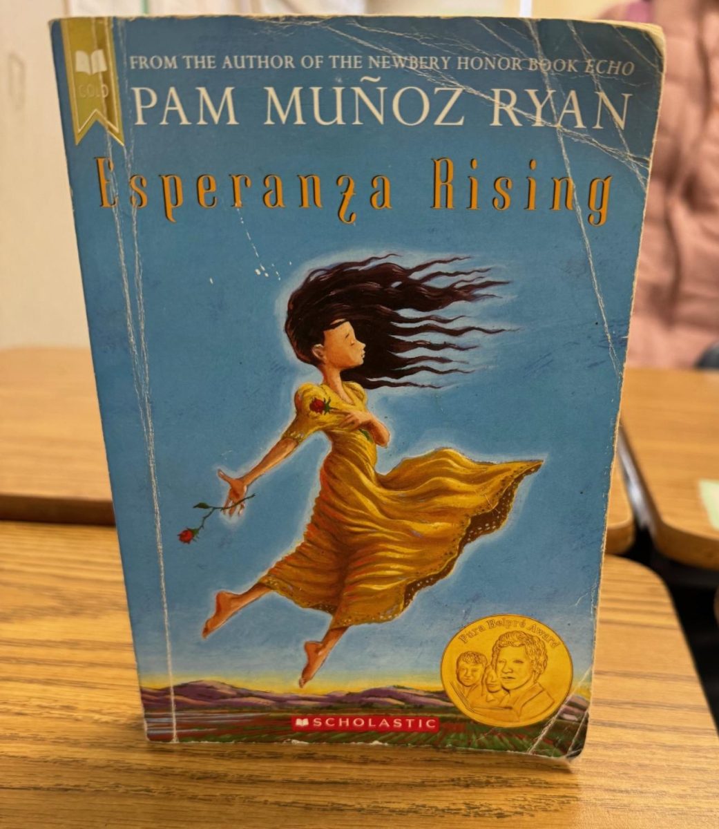 Looking at Life through Books