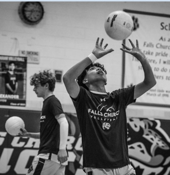 Photo courtesy of Nico Shirley
